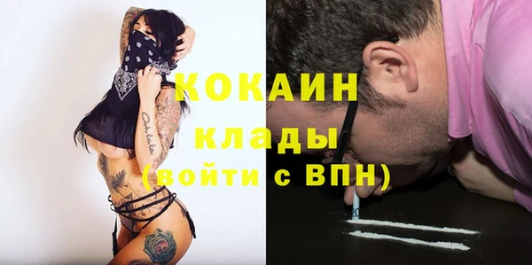 сатива Ельня