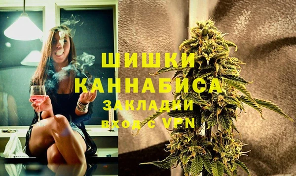 сатива Ельня