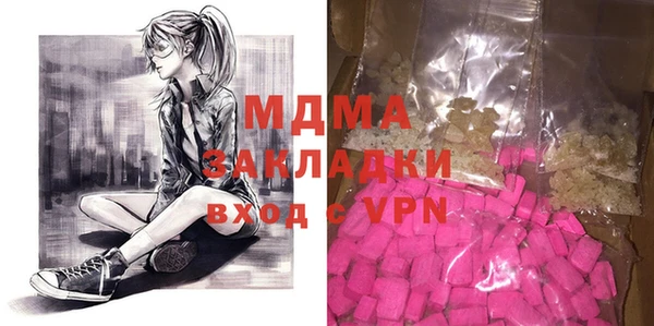 сатива Ельня
