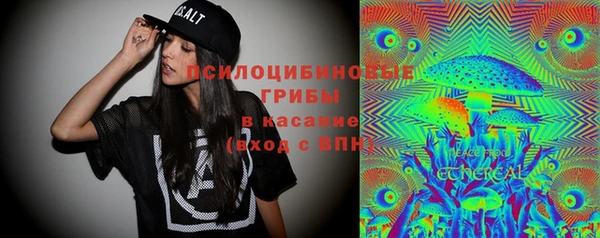 Альфа ПВП Дмитров