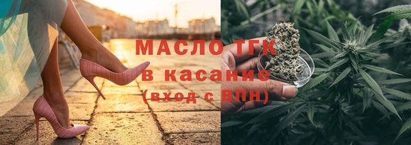 сатива Ельня
